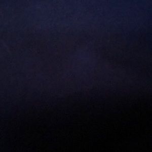 Meet your Posher, Finley